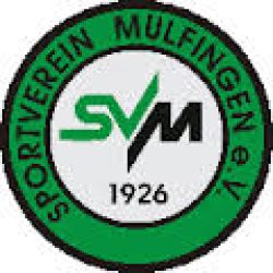 SV-mulfingen